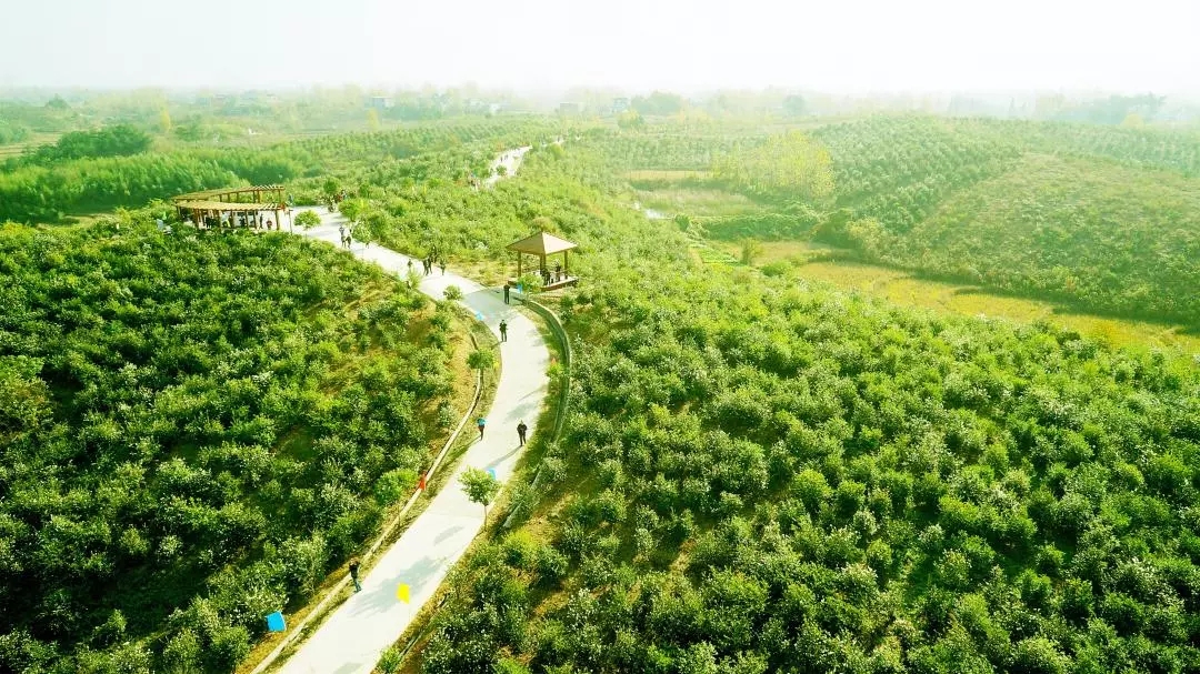  為“國(guó)油”產(chǎn)業(yè)化插上智能科技的翅膀〡東旭藍(lán)天積極探索兩化融合，油茶產(chǎn)業(yè)邁向工廠智能化