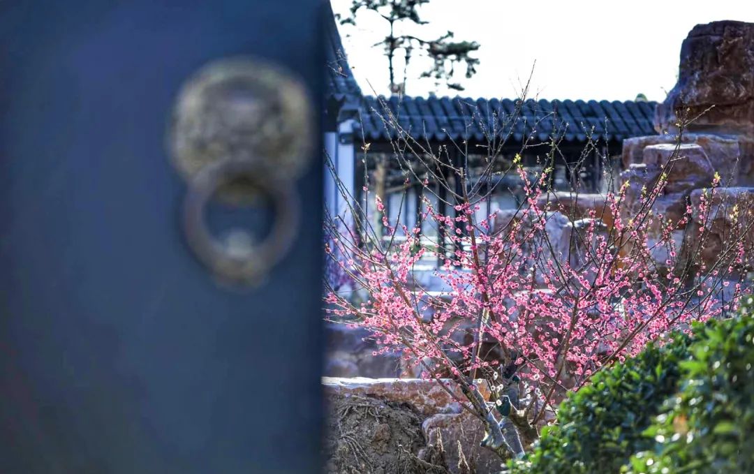 微信圖片_20200423145305.jpg
