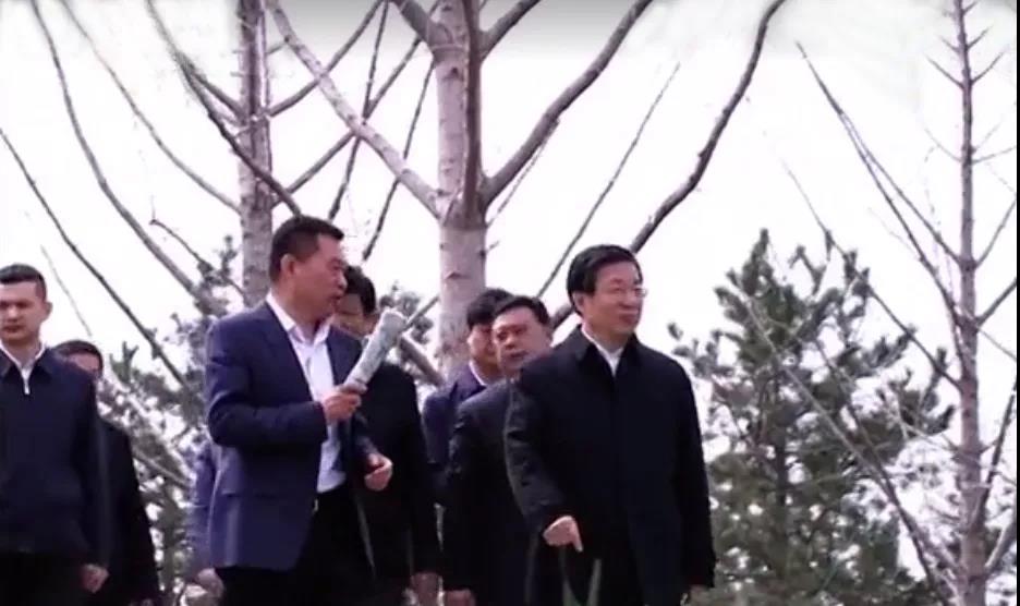 大放異彩 | 河北省省委書記、省人大常委會主任王東峰、副省長張古江調研邢臺園博園