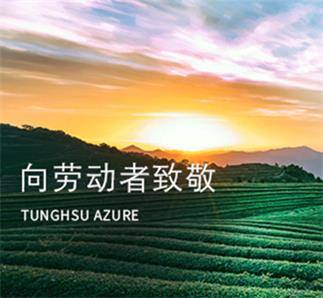 致敬勞動者：多彩雙手，大美藍天