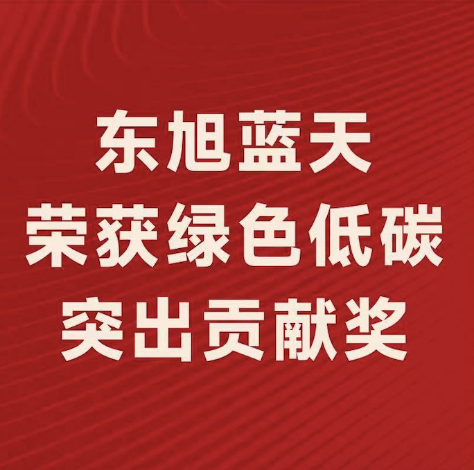 喜報〡東旭藍(lán)天斬獲“2022年度綠色低碳突出貢獻獎”